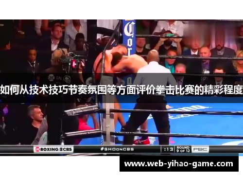 如何从技术技巧节奏氛围等方面评价拳击比赛的精彩程度