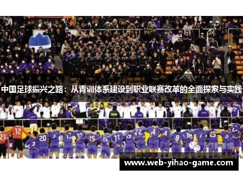 中国足球振兴之路：从青训体系建设到职业联赛改革的全面探索与实践