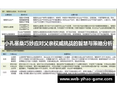 小孔塞桑巧妙应对父亲权威挑战的智慧与策略分析
