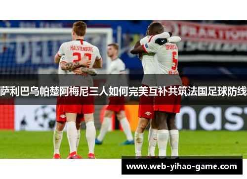 萨利巴乌帕楚阿梅尼三人如何完美互补共筑法国足球防线 萨利巴乌帕楚阿梅尼三人如何完美互补共筑法国足球防线