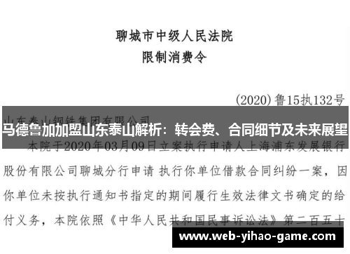 马德鲁加加盟山东泰山解析：转会费、合同细节及未来展望