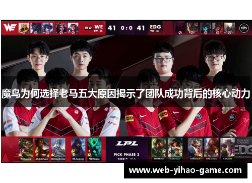 魔鸟为何选择老马五大原因揭示了团队成功背后的核心动力
