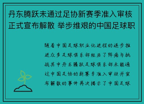 丹东腾跃未通过足协新赛季准入审核正式宣布解散 举步维艰的中国足球职业化困境再现