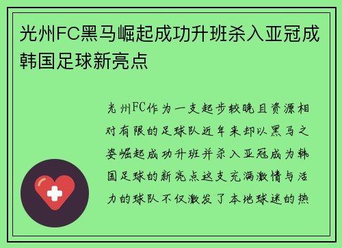 光州FC黑马崛起成功升班杀入亚冠成韩国足球新亮点