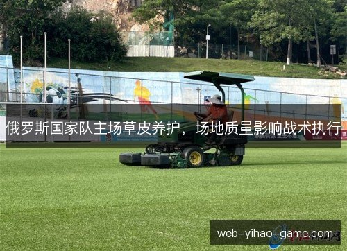 俄罗斯国家队主场草皮养护，场地质量影响战术执行